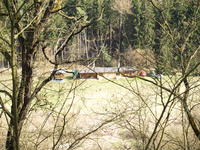 JTV013.JPG