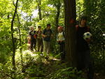 Tabor201132